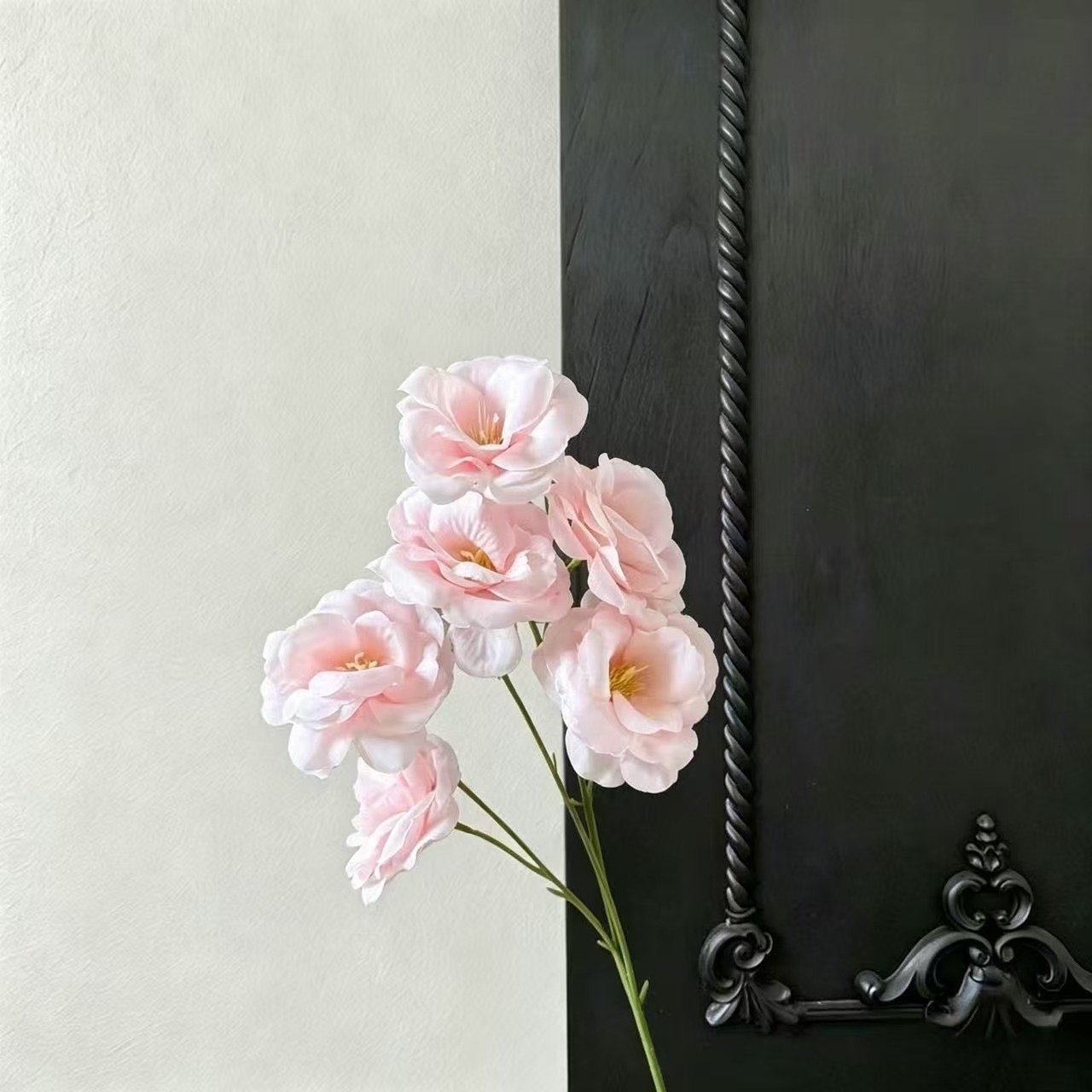 O1CN01VxgLPI1MCKqkHx1Kg 2214141791398 0 Cib